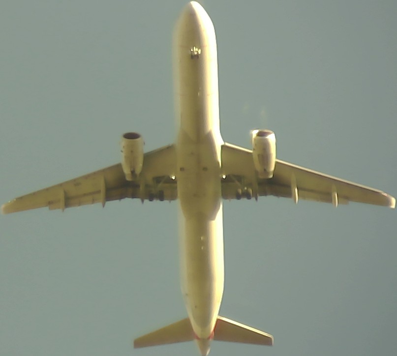 Airplane Picture