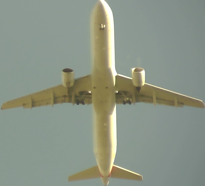 Airplane Picture