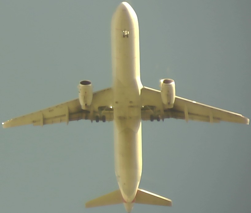 Airplane Picture