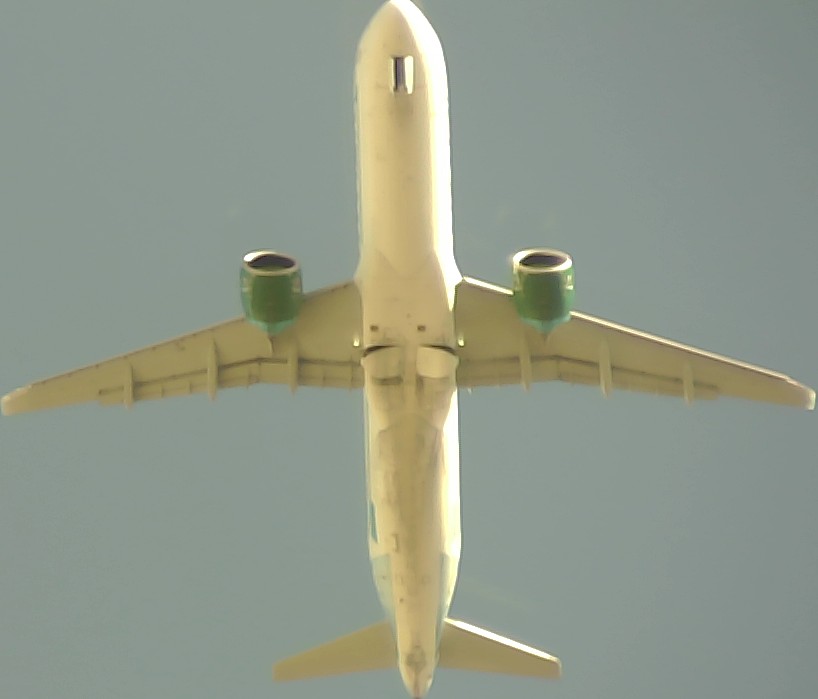 Airplane Picture