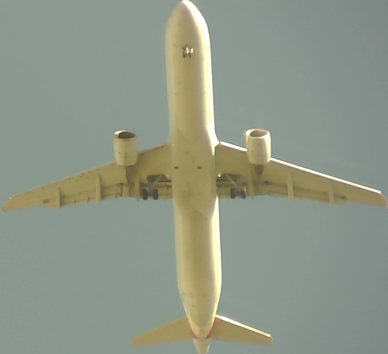 Airplane Picture