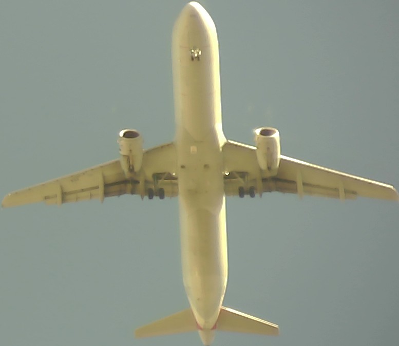 Airplane Picture