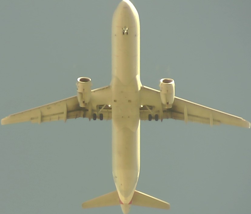 Airplane Picture