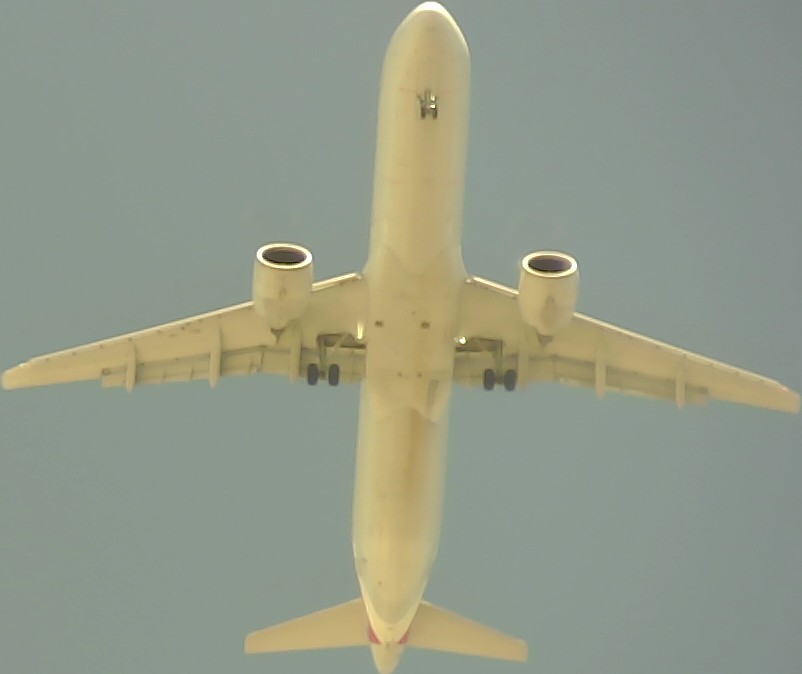 Airplane Picture