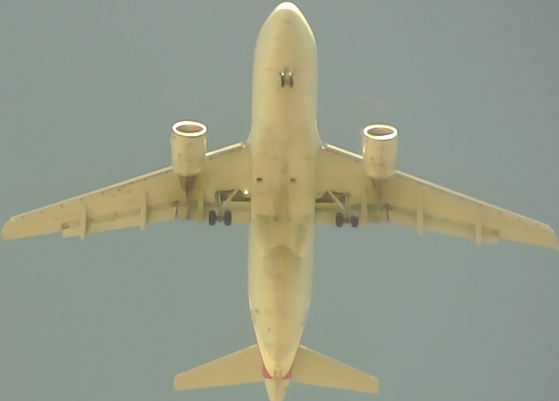 Airplane Picture