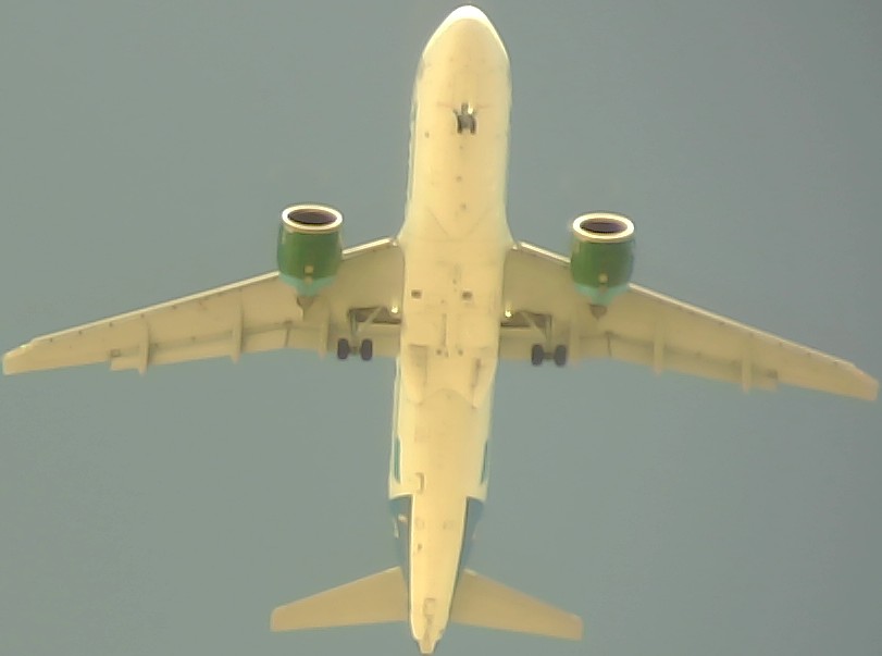 Airplane Picture