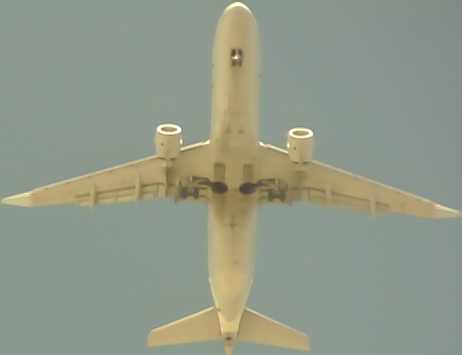 Airplane Picture