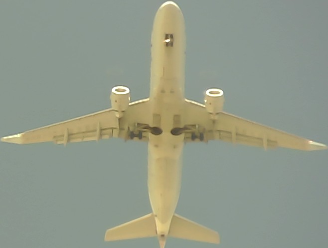 Airplane Picture