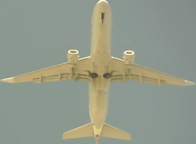 Airplane Picture