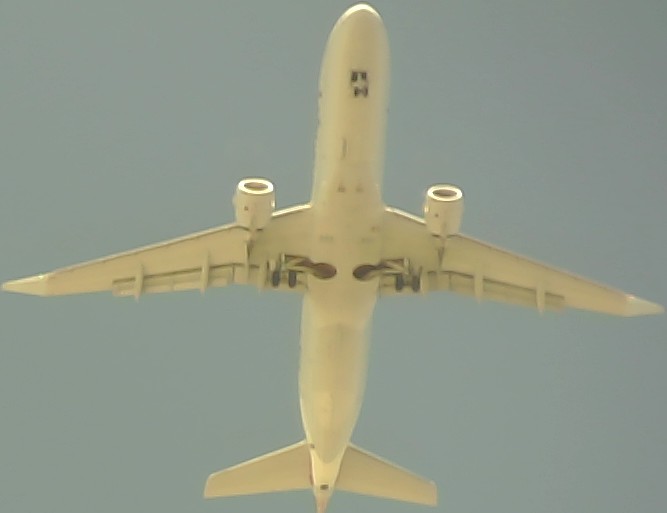 Airplane Picture