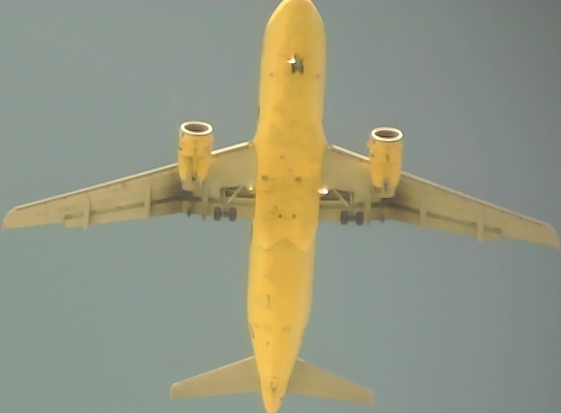 Airplane Picture