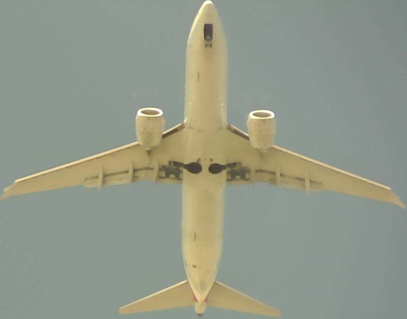 Airplane Picture