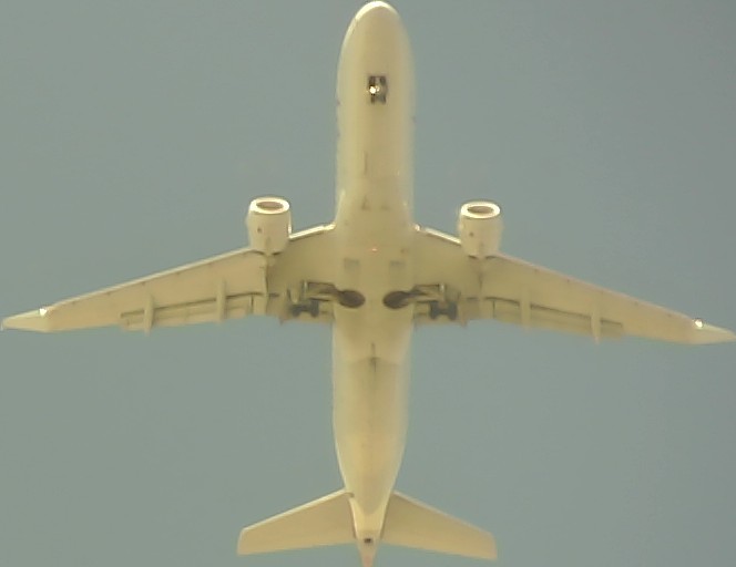 Airplane Picture