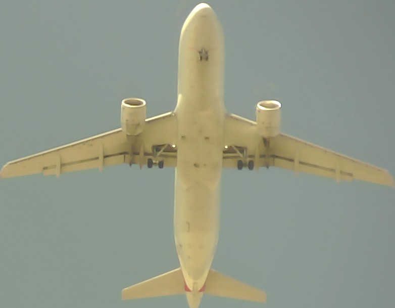 Airplane Picture