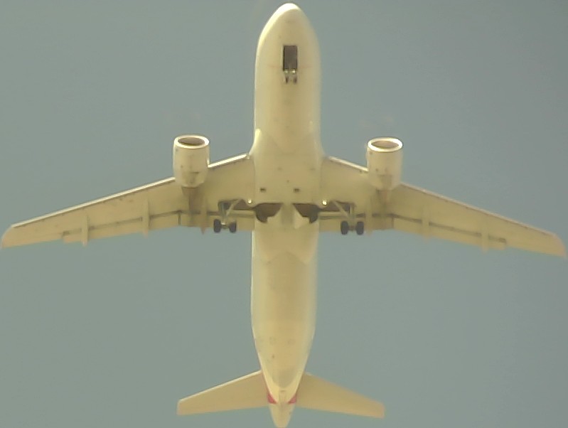 Airplane Picture