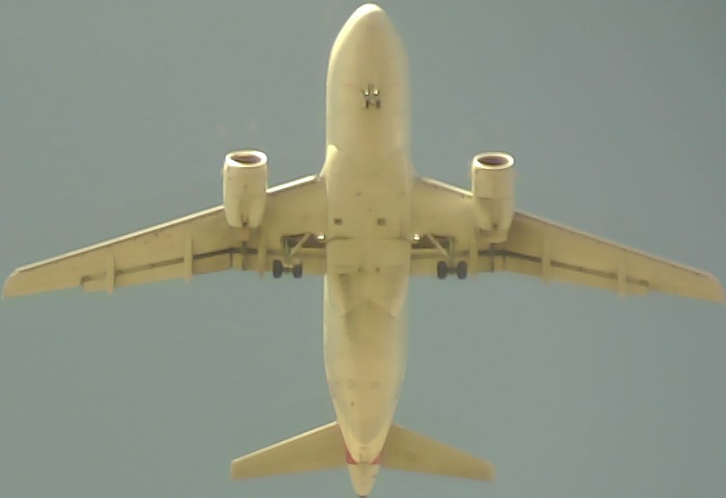 Airplane Picture