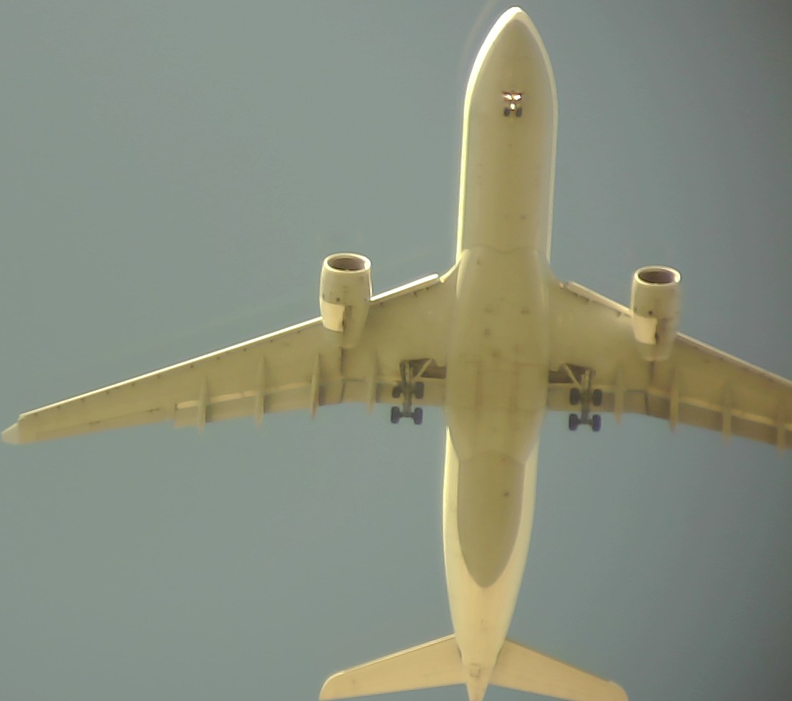 Airplane Picture