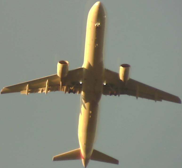 Airplane Picture