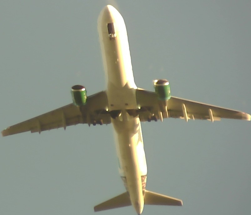 Airplane Picture