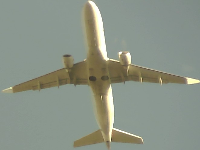 Airplane Picture