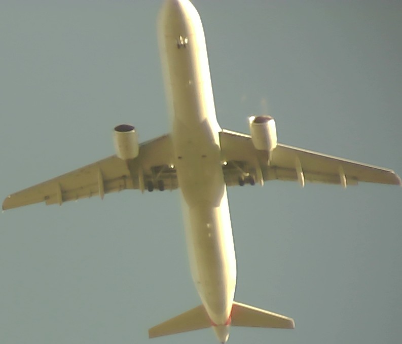 Airplane Picture
