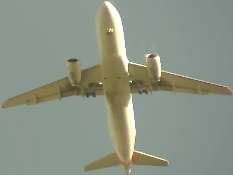 Airplane Picture