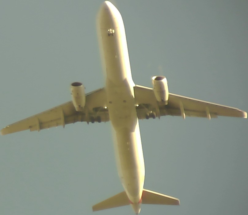 Airplane Picture