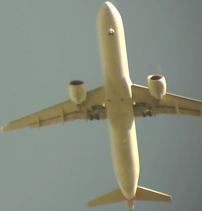 Airplane Picture