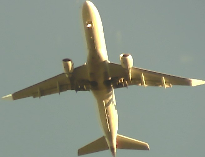 Airplane Picture