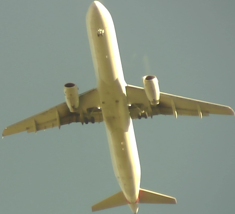 Airplane Picture