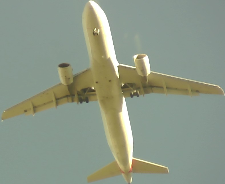 Airplane Picture