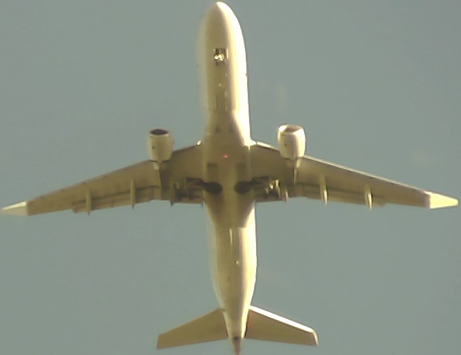 Airplane Picture