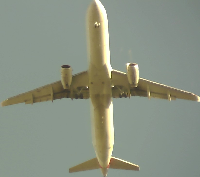 Airplane Picture