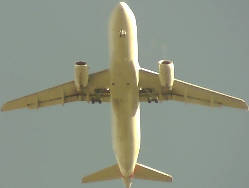Airplane Picture