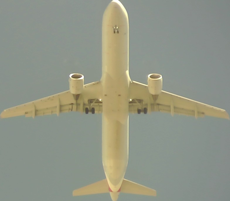 Airplane Picture