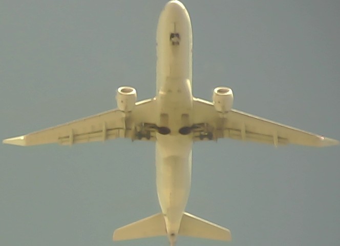 Airplane Picture