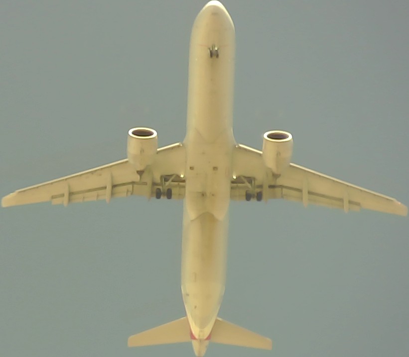 Airplane Picture
