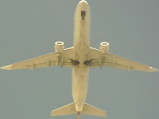 Airplane Picture