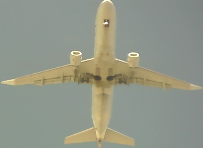 Airplane Picture