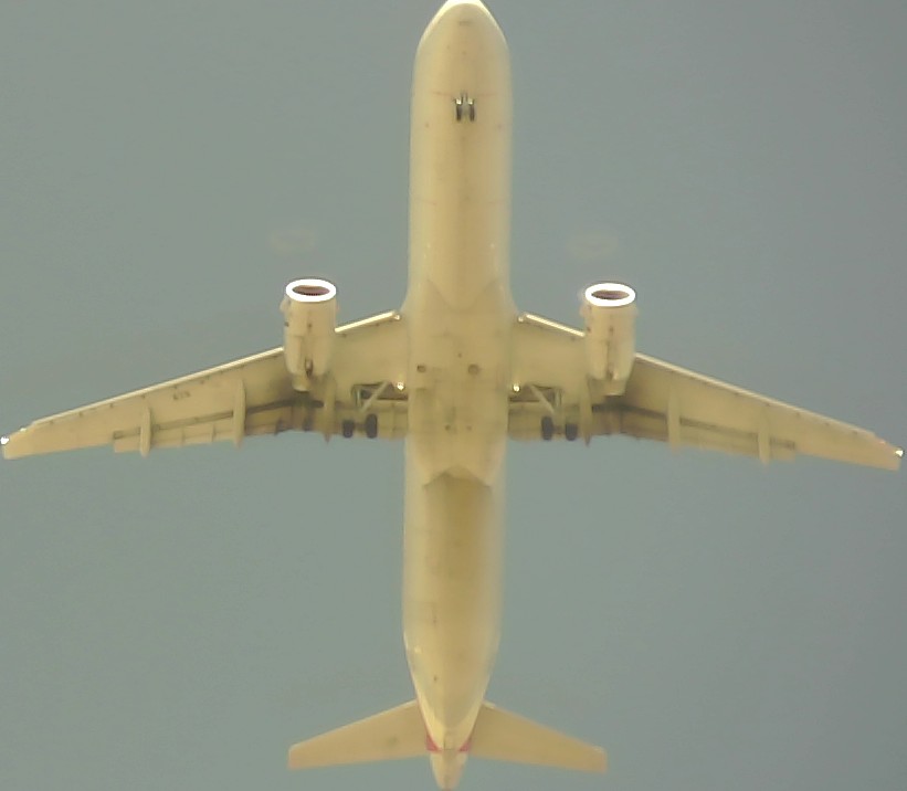 Airplane Picture
