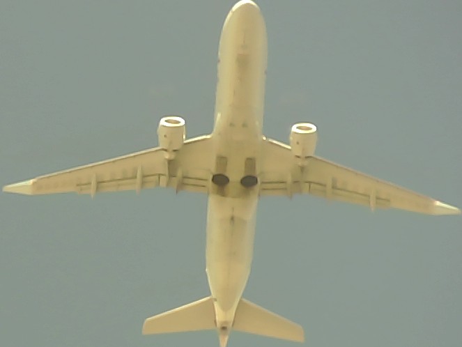 Airplane Picture