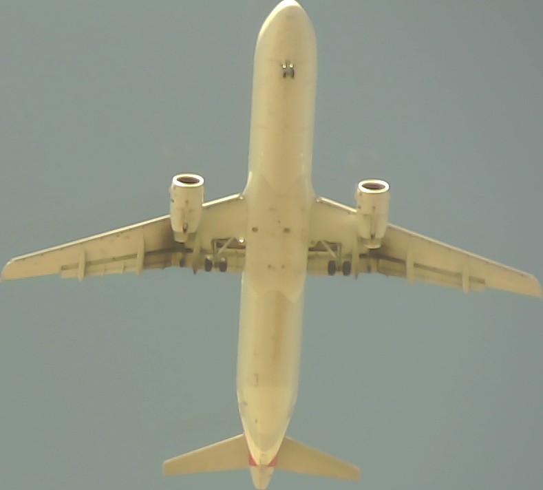 Airplane Picture