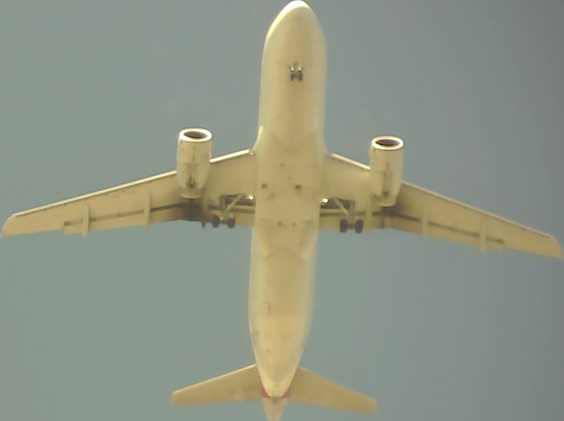 Airplane Picture