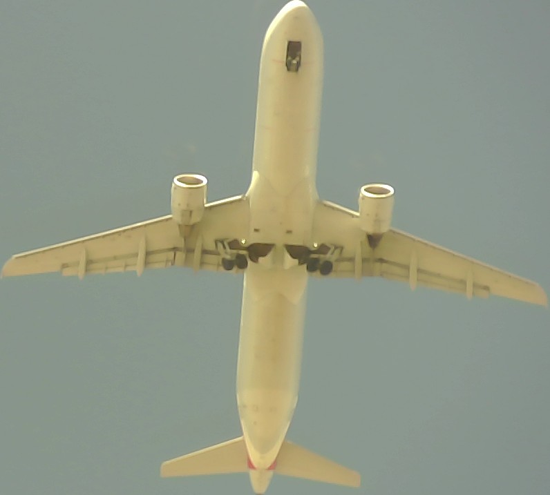 Airplane Picture