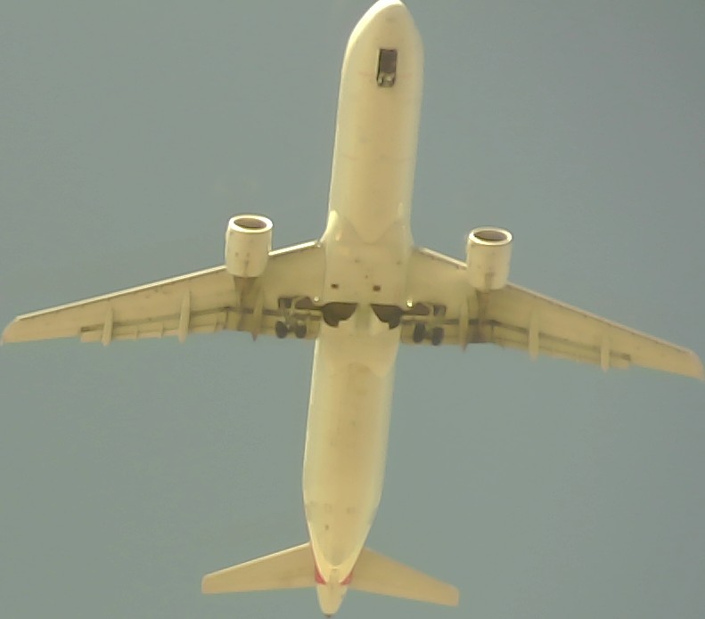 Airplane Picture