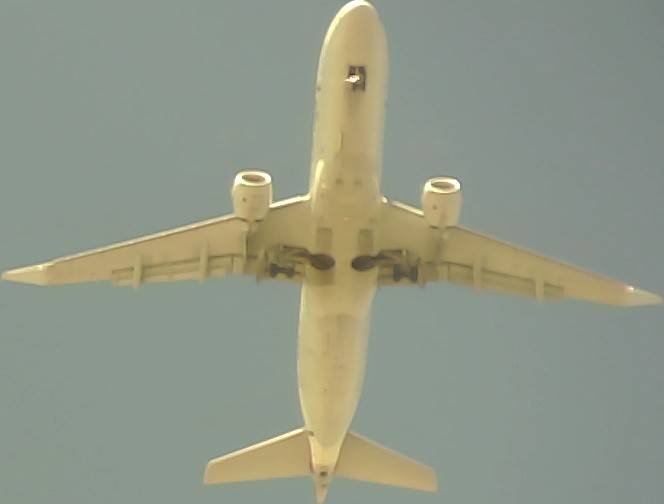 Airplane Picture