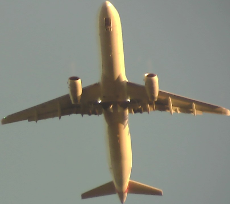 Airplane Picture