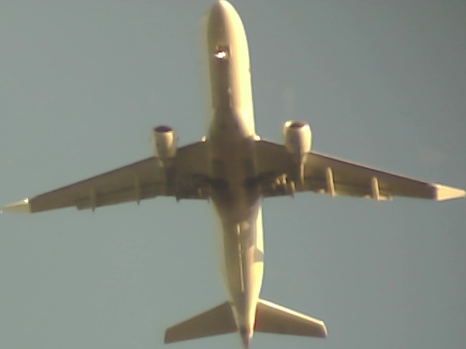 Airplane Picture