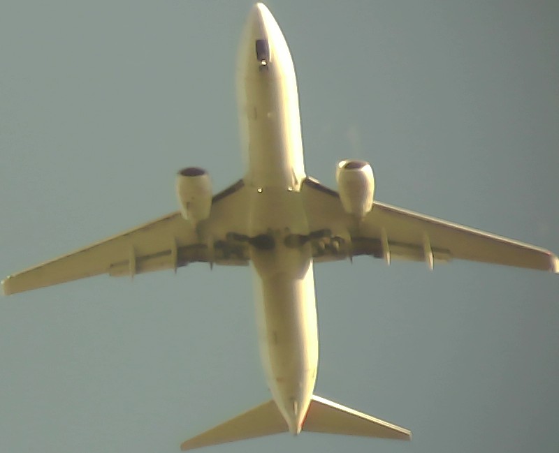 Airplane Picture