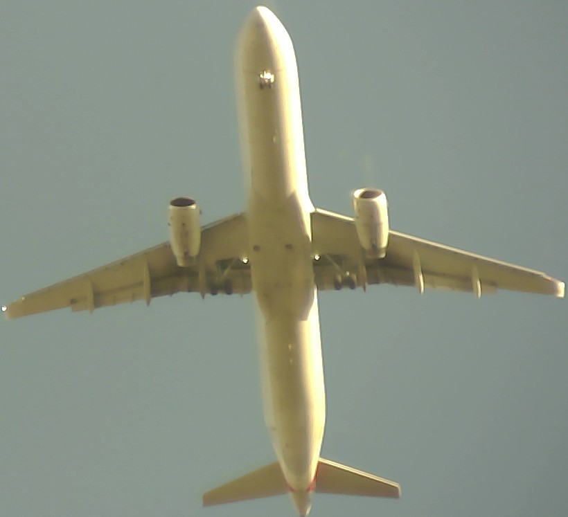 Airplane Picture